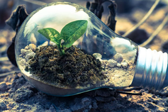 D'Amore-McKim School of Business Entrepreneurship and Innovation Fund
